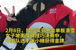 开云体育app-俄罗斯运动员特技滑雪比赛夺金