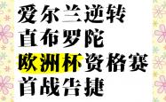 开云官网-关于爱尔兰梦幻逆转斯洛文尼亚，欧洲杯预选赛惊艳瞬间的信息