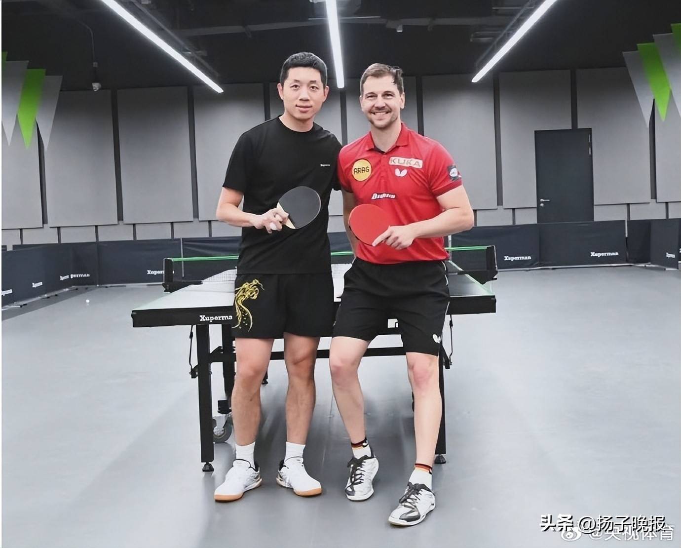 包含波兰乒乓球队碾压奥地利乒乓球队，波尔绝境逆转的词条