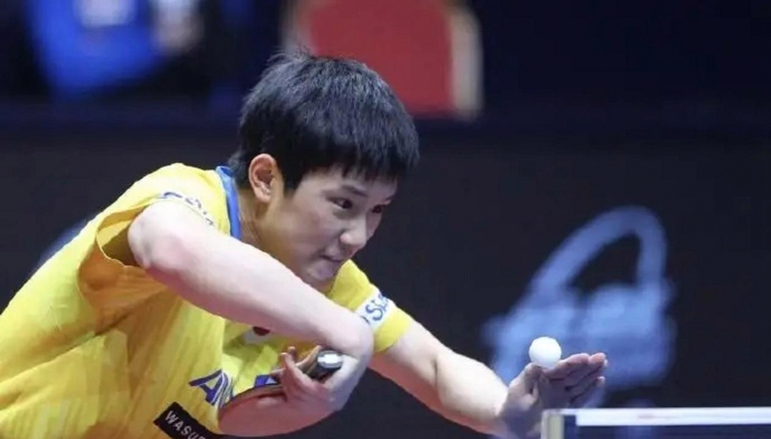 日本队完胜韩国队，张本智和状态火热